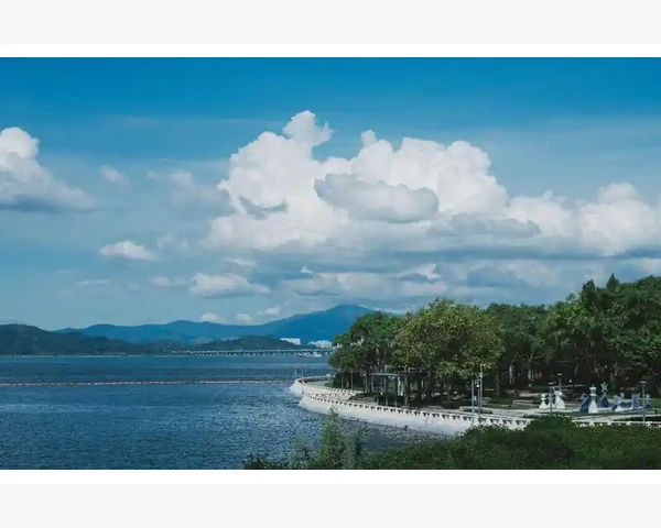 男性秘笈：中药能否补气补血，纾解肾亏不足？
