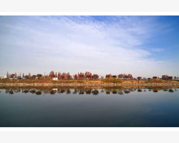 可乐化痰的奥秘：中医视角解析